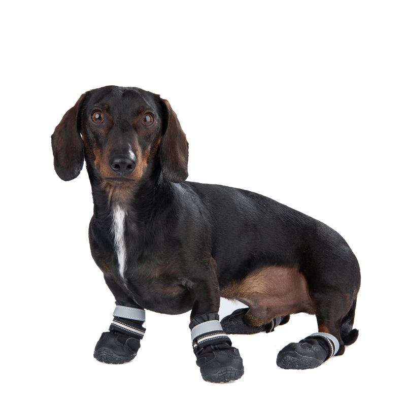 zooplus Hundeschuhe S & P Boots kaufen