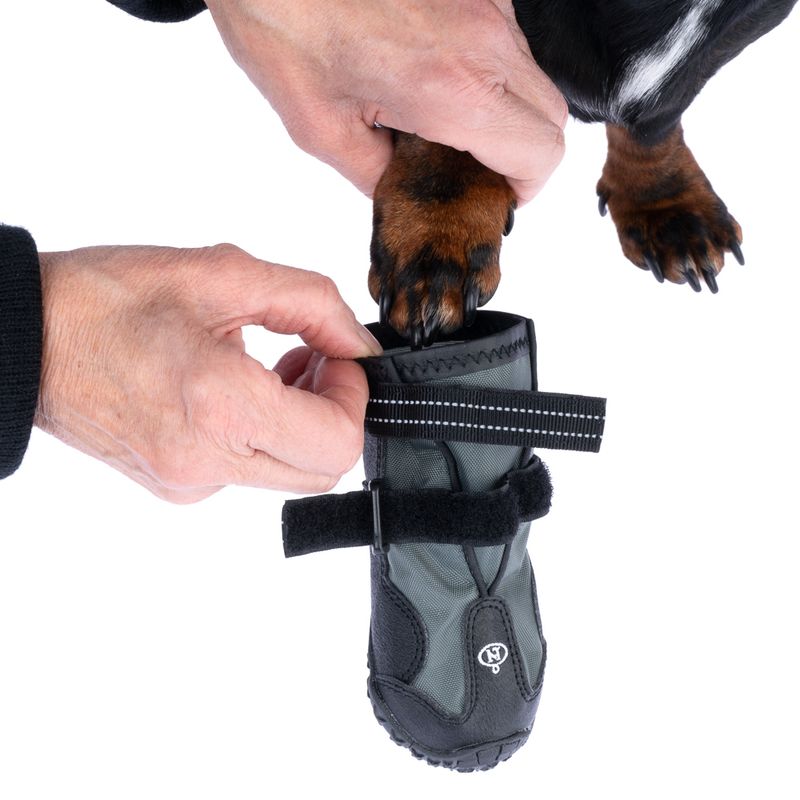 zooplus Nomad Tales Spirit Hundeschuhe kaufen Begrenztes Angebot