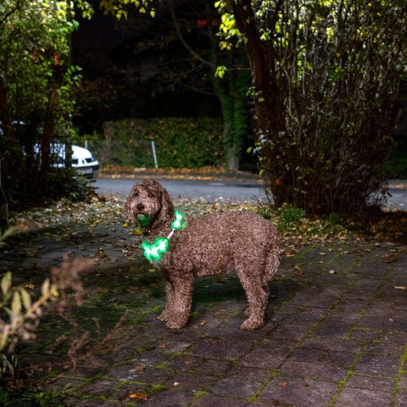 zooplus TIAKI USB-LED-Silikonring Spark kaufen Saisonschlussverkauf