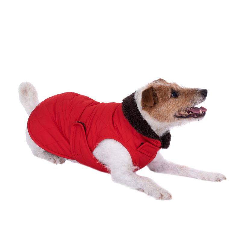 zooplus Hundemantel Steppmuster kaufen Weihnachtsangebot