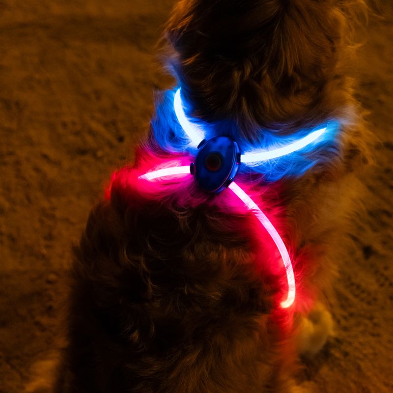 zooplus Nomad Tales Spirit USB LED Geschirr kaufen Muttertagsangebot