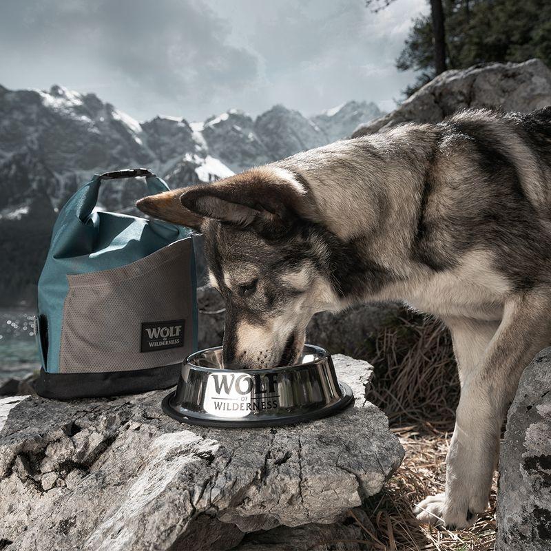zooplus Wolf of Wilderness Rutschfester Edelstahlnapf für Hunde kaufen Valentinstagsangebot
