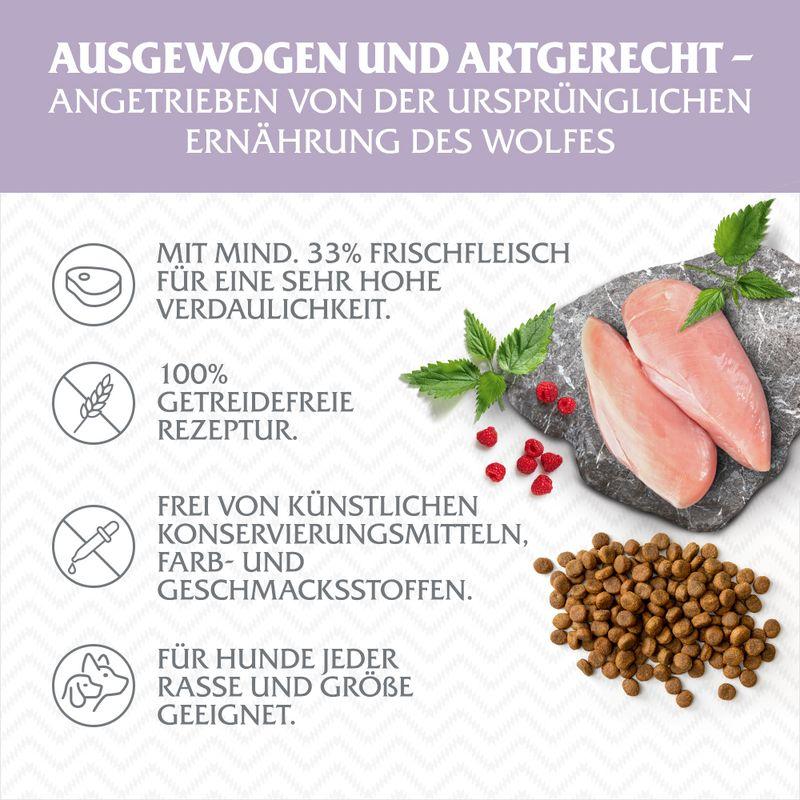 zooplus Wolf of Wilderness Junior Wild Hills Ente - getreidefrei kaufen Blitzangebot