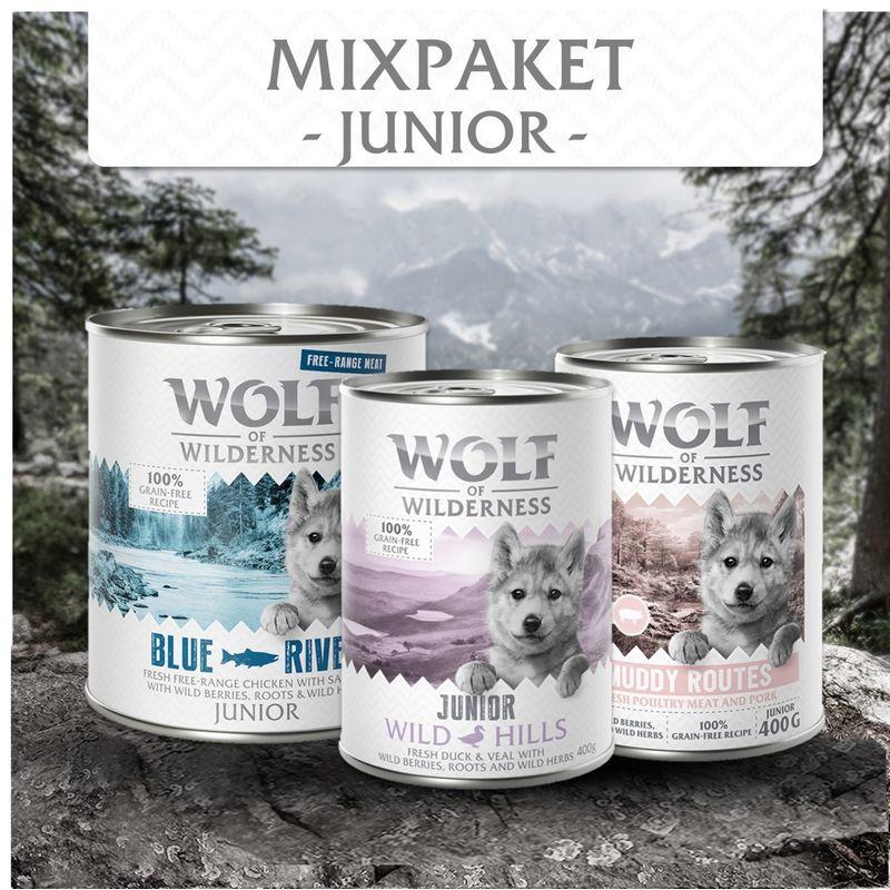 zooplus Wolf of Wilderness JUNIOR - Mixpaket kaufen