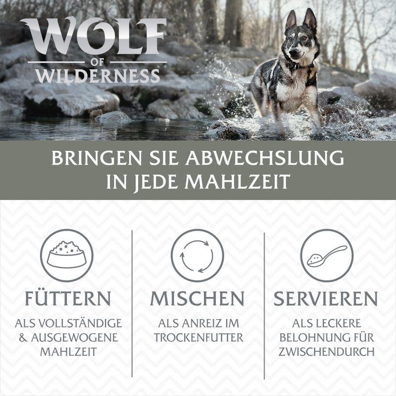 zooplus Wolf of Wilderness JUNIOR - Mixpaket kaufen Große Rabatte