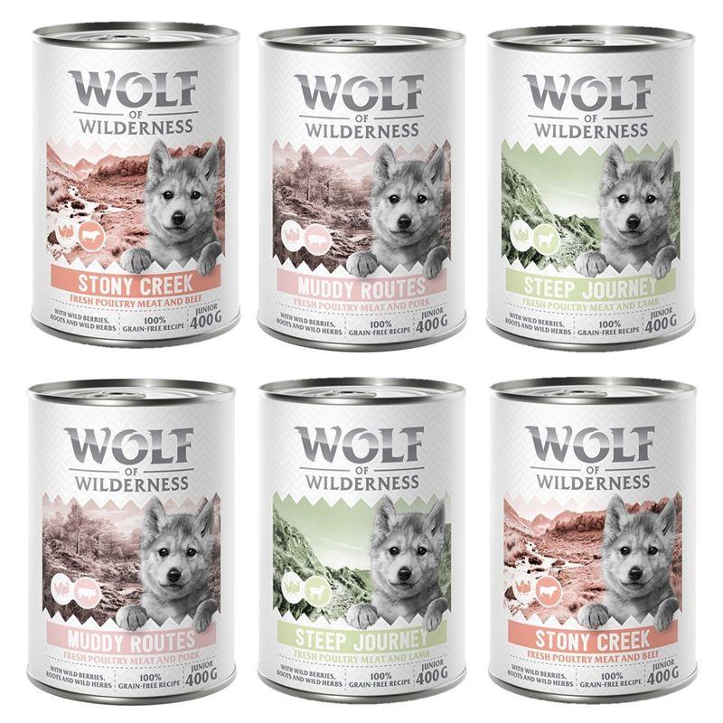 zooplus Wolf of Wilderness JUNIOR - Mixpaket kaufen Große Rabatte