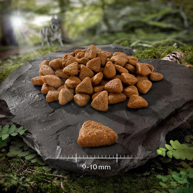 zooplus Wolf of Wilderness JUNIOR Sensitiv Rocky Canyons Freiland-Rind - getreidefrei kaufen Saisonale Angebote