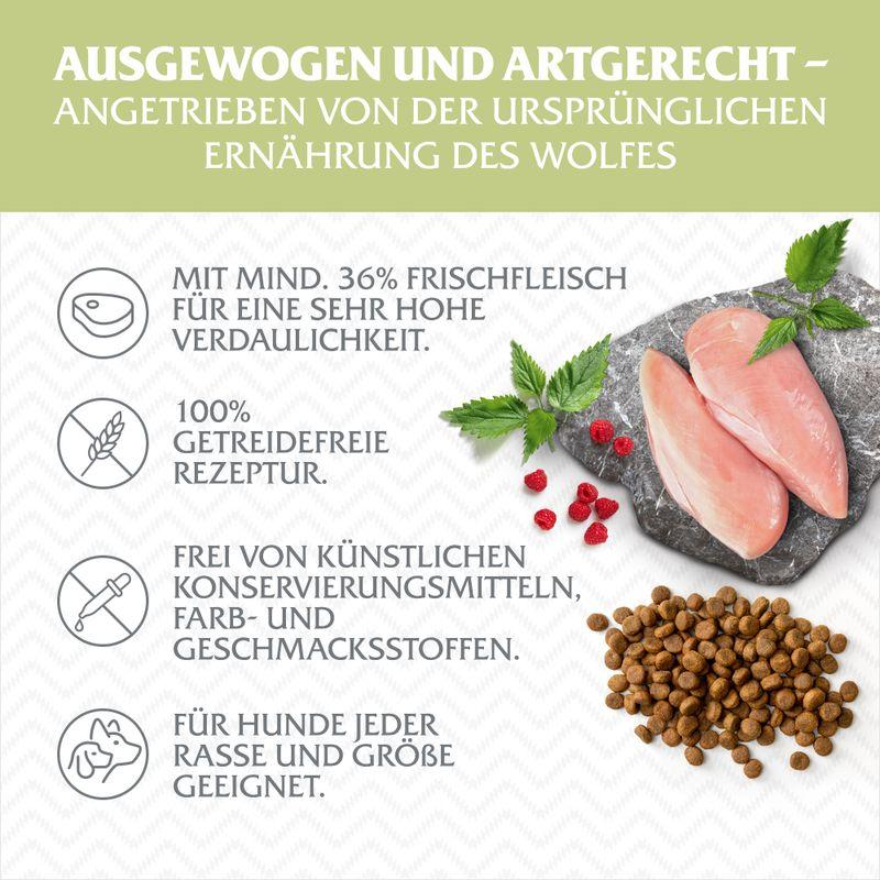 zooplus Wolf of Wilderness Junior Green Fields Lamm - getreidefrei kaufen Kauf eins, bekomm eins gratis