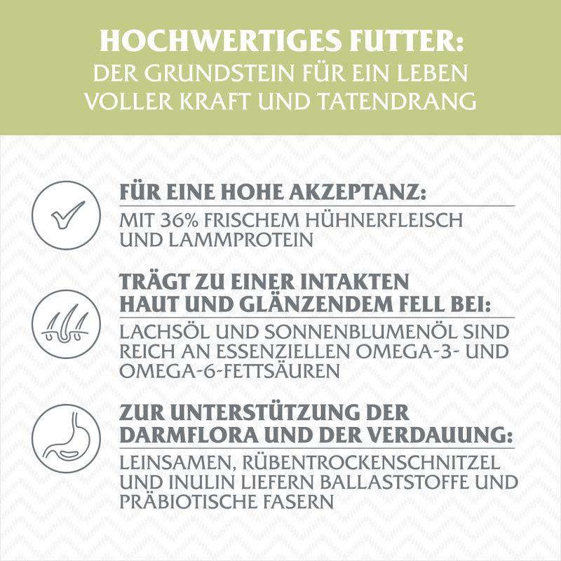 zooplus Wolf of Wilderness Junior Green Fields Lamm - getreidefrei kaufen Kauf eins, bekomm eins gratis