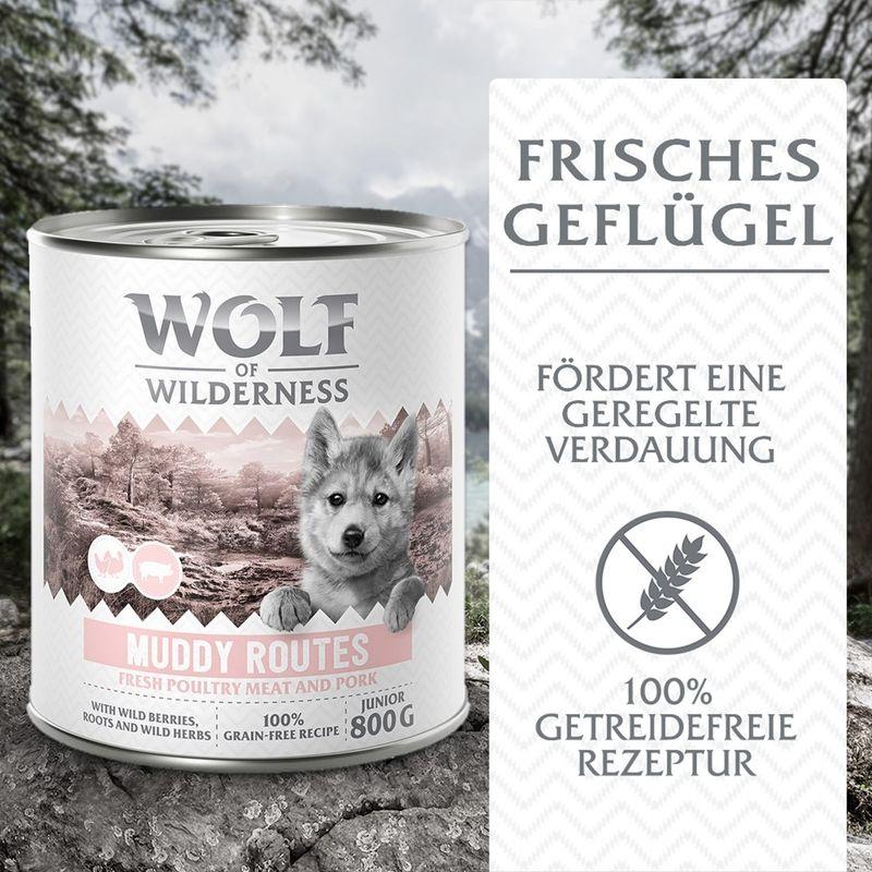 zooplus Wolf of Wilderness Junior - mit viel frischem Geflügel 6 x 800 g kaufen Tägliche Deals