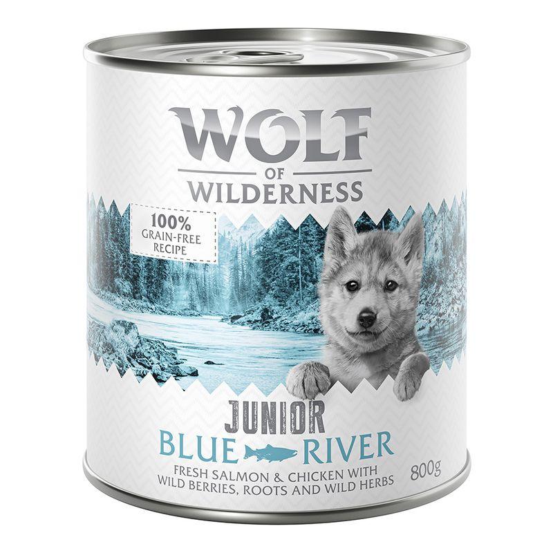 zooplus Wolf of Wilderness JUNIOR 6/24 x 800 g kaufen Sonderangebote