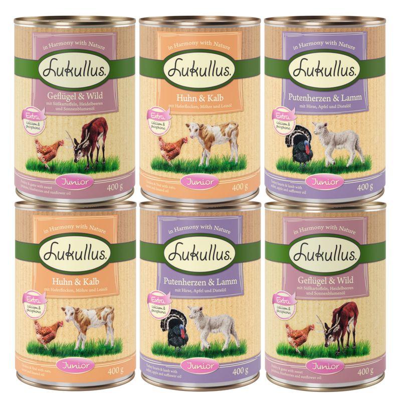 zooplus 6 x 400 g Lukullus Naturkost Junior Probierpakete kaufen