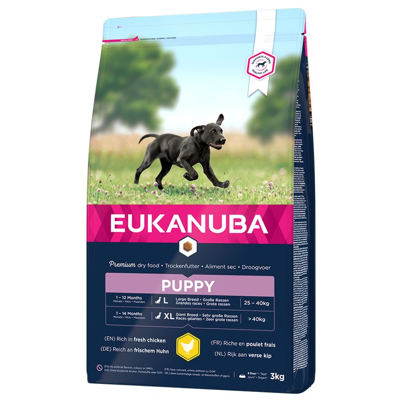zooplus Eukanuba Puppy Large Breed Huhn kaufen