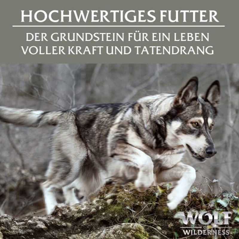 zooplus Wolf of Wilderness Adult - Single Protein 6 x 400 g kaufen Letzte 3 Tage