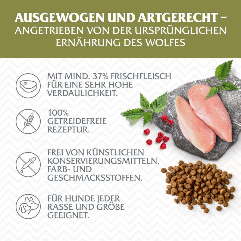 zooplus Wolf of Wilderness Senior Green Fields Lamm - getreidefrei kaufen Letzter Tag