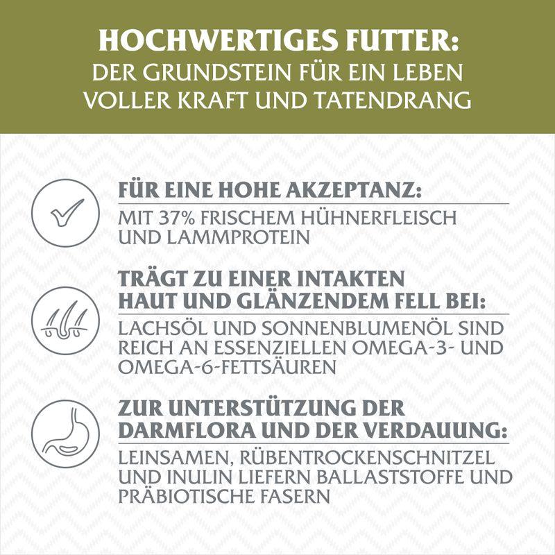 zooplus Wolf of Wilderness Senior Green Fields Lamm - getreidefrei kaufen Letzter Tag