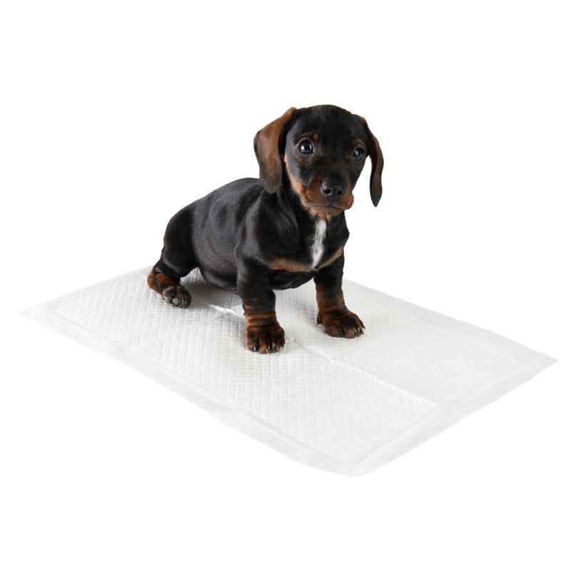 zooplus zooplus Trainingsunterlage für Hundewelpen kaufen Bis zu 55% Rabatt