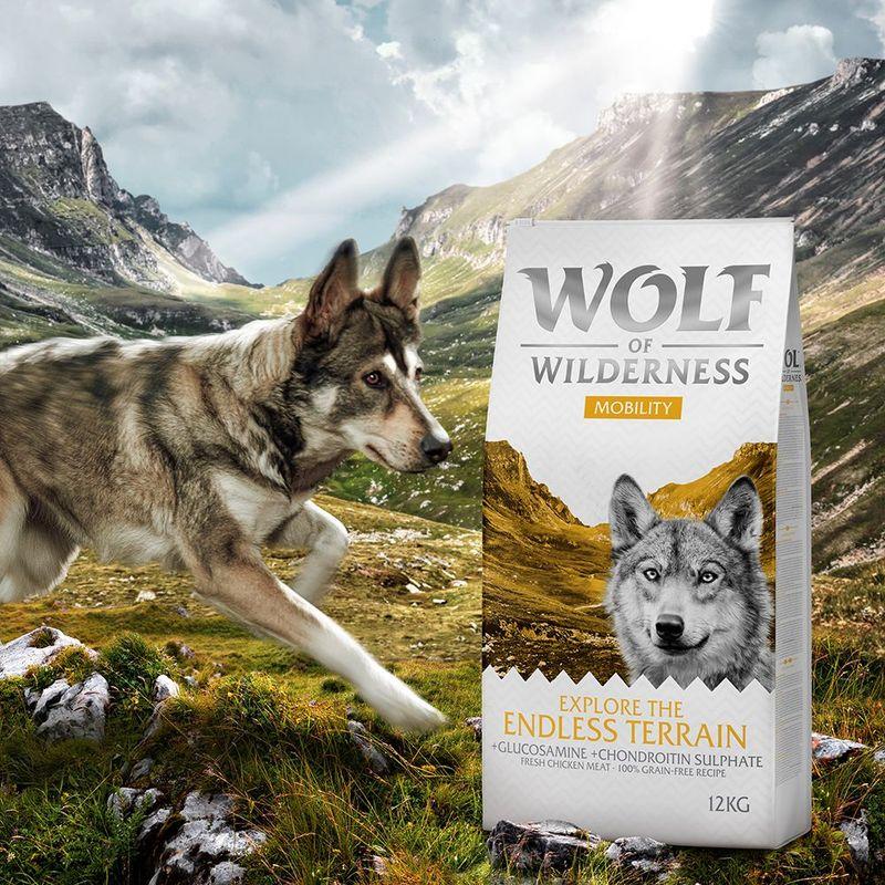 zooplus Wolf of Wilderness Explore The Endless Terrain Mobility - getreidefrei kaufen Rabatte dieses Monats