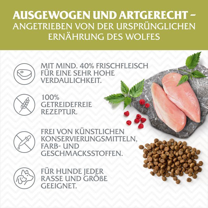 zooplus Wolf of Wilderness Adult Green Fields Lamm - getreidefrei kaufen Outlet