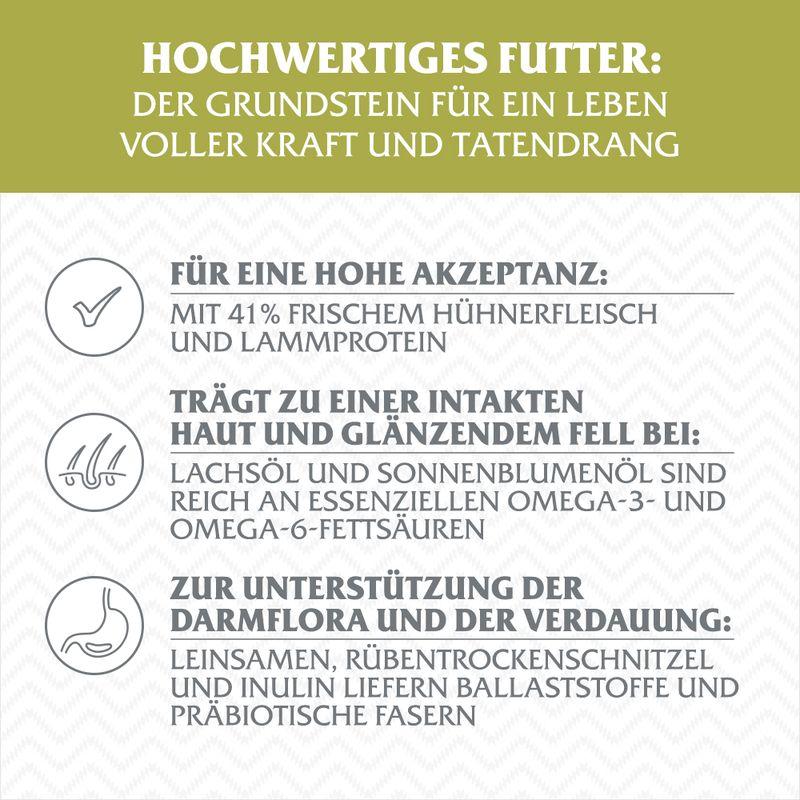 zooplus Wolf of Wilderness Adult Green Fields Lamm - getreidefrei kaufen Outlet