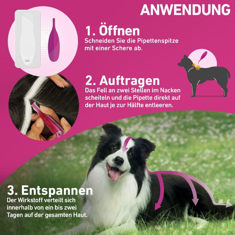 zooplus Frontline® TRI-ACT Hunde XS (2 - 5 kg) kaufen Fabrikverkauf