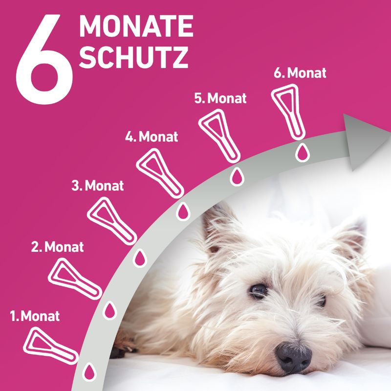 zooplus Frontline® TRI-ACT Hunde XS (2 - 5 kg) kaufen Fabrikverkauf