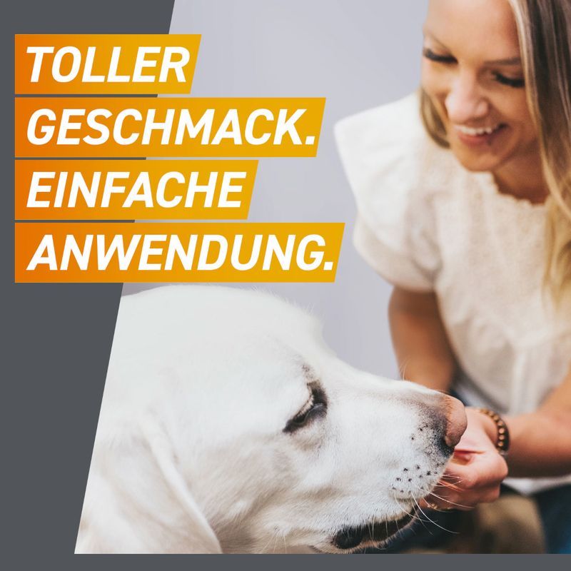 zooplus Frontpro Kautablette gegen Zecken und Flöhe für Hunde >10 bis 25 kg kaufen Meist gekauft