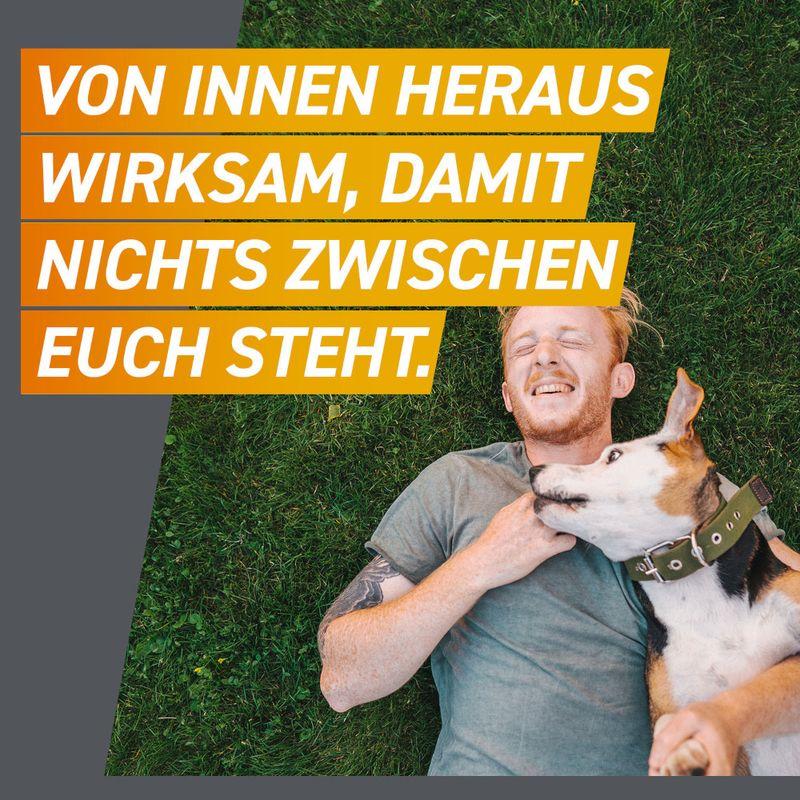 zooplus Frontpro Kautablette gegen Zecken und Flöhe für Hunde >10 bis 25 kg kaufen Meist gekauft