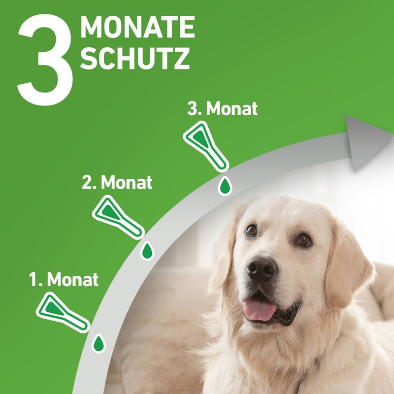 zooplus Frontline® Combo Spot-on Hund S (2 - 10 kg) kaufen Blitzverkäufe