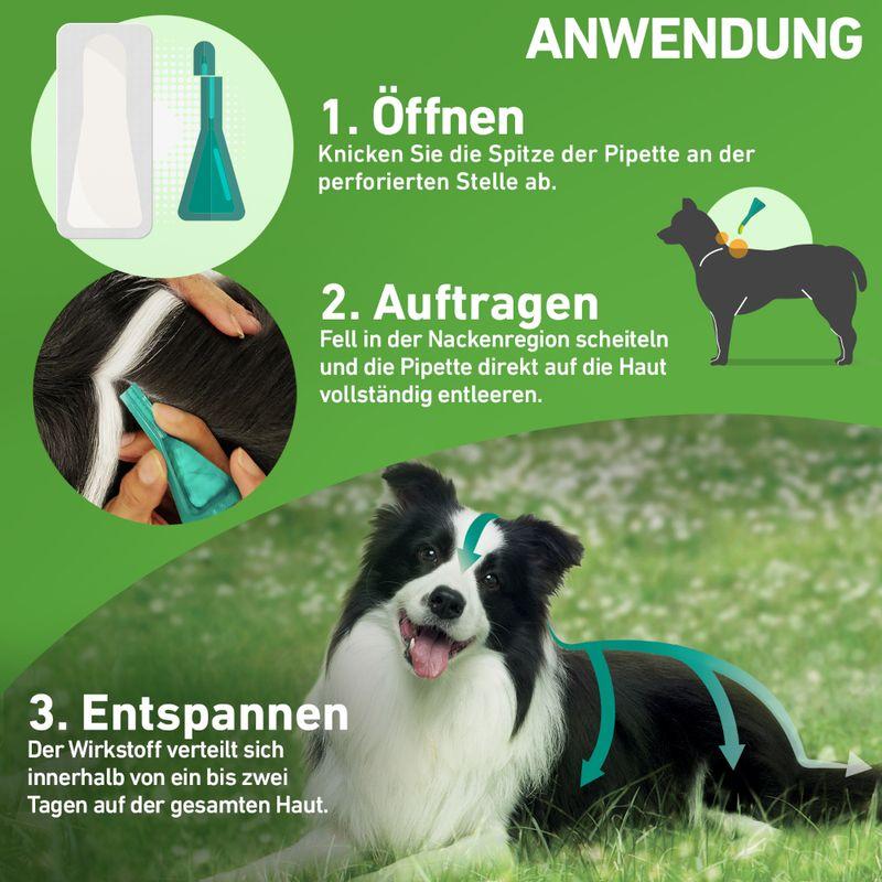 zooplus Frontline® Combo Spot-on Hund M (10 - 20 kg) kaufen Limitierter Zeitrabatt