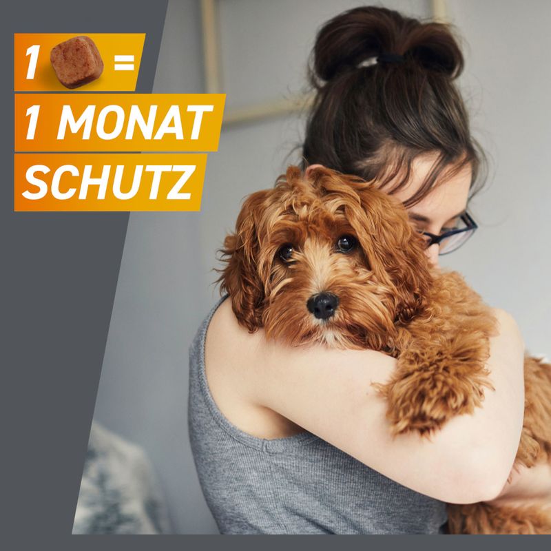 zooplus Frontpro Kautablette gegen Zecken und Flöhe für Hunde >4 bis 10 kg kaufen Fabrikpreis