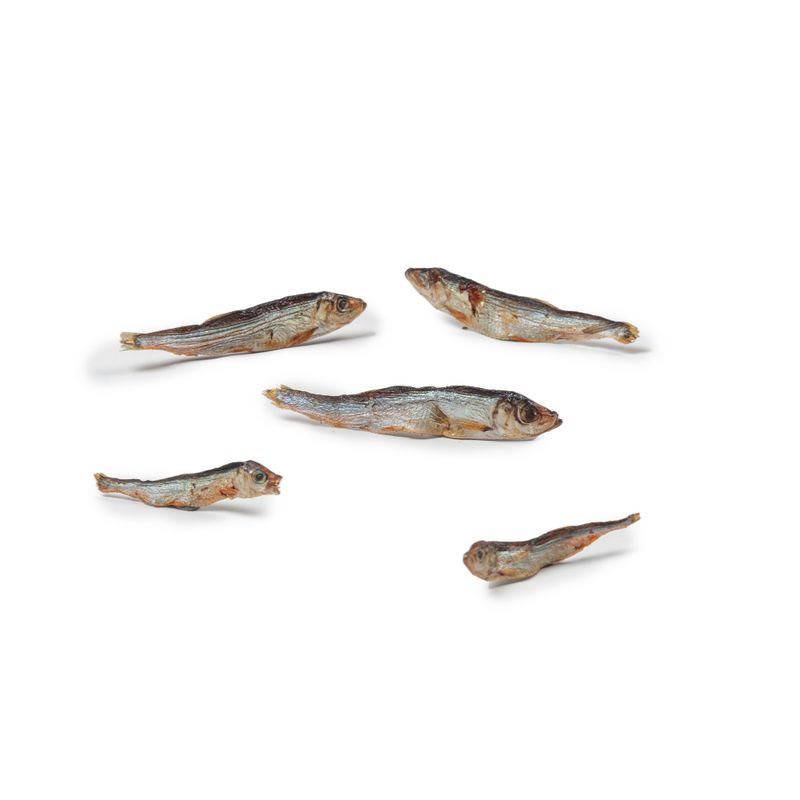 zooplus Dibo Trockenfisch kaufen Cyber Monday
