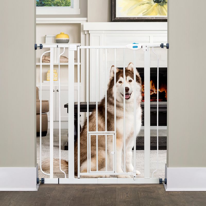 zooplus Carlson Absperrgitter Pet Gate extra hoch mit Katzentür kaufen Riesige Ersparnisse