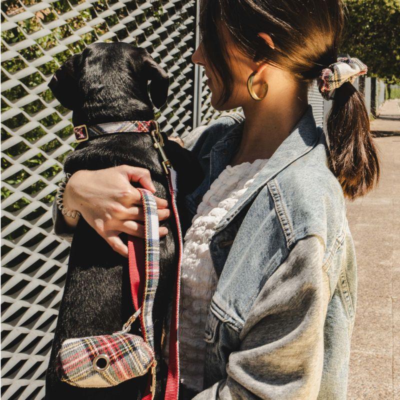 zooplus Nomad Tales Tartan: Halsband Leine Kotbeutelspender Scrunchie kaufen Im Verkauf