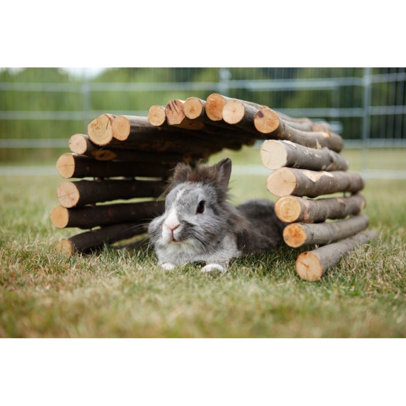 zooplus Trixie Brücke kaufen Jubiläumsangebot