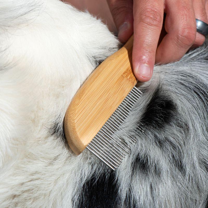 zooplus kooa Kamm aus Bambus mit rotierenden Zähnen kaufen Super Sparpreis
