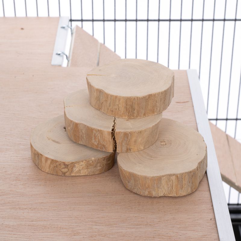 zooplus TIAKI Kaffeeholz-Knabberscheiben kaufen Heißer Verkauf