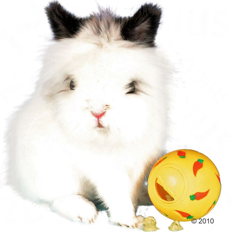 zooplus Trixie Snacky Futterball kaufen Bestseller