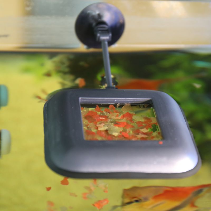 zooplus JBL NovoStation kaufen Preisnachlass