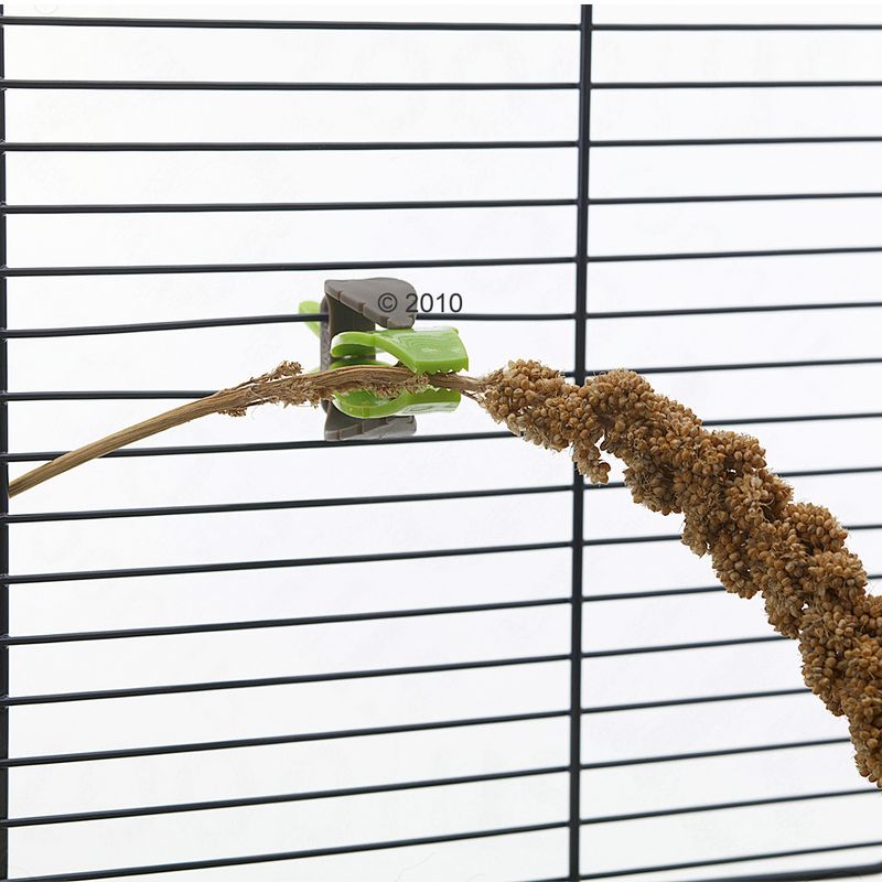 zooplus JR Farm Kolbenhirse gelb kaufen Tägliche Deals