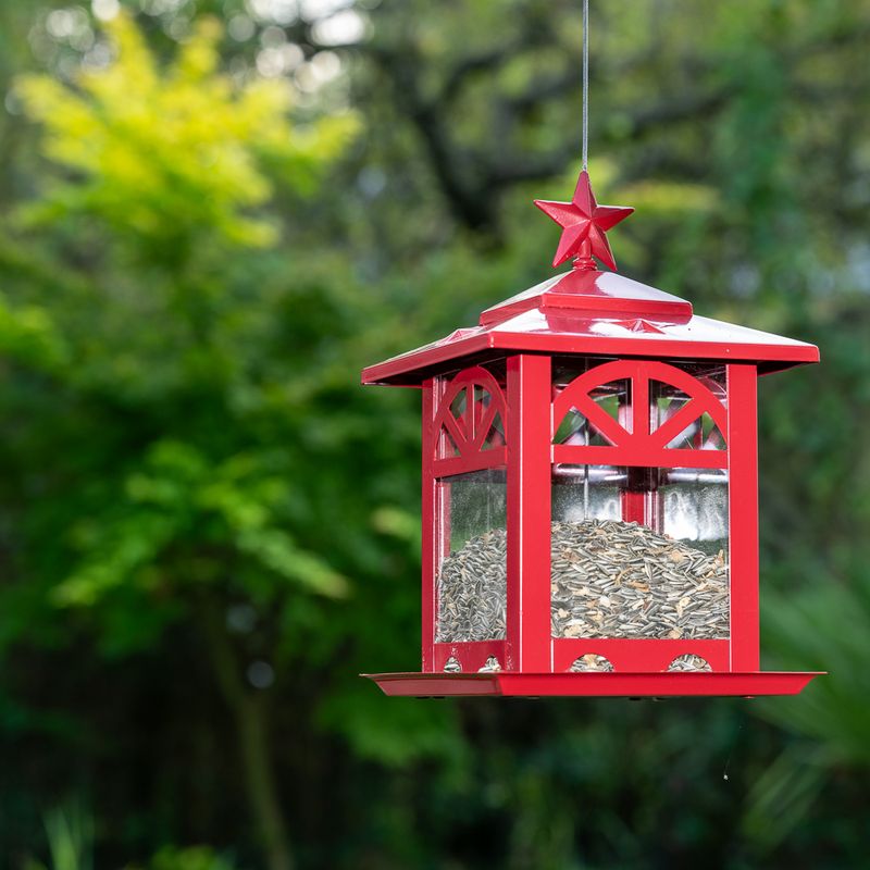zooplus TIAKI Vogelfutterspender Laterne aus Metall kaufen Hotsell