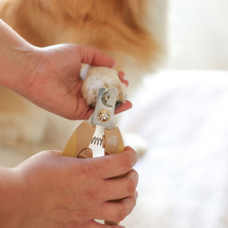 zooplus Magic Brush Krallenschneider kaufen Muttertagsangebot