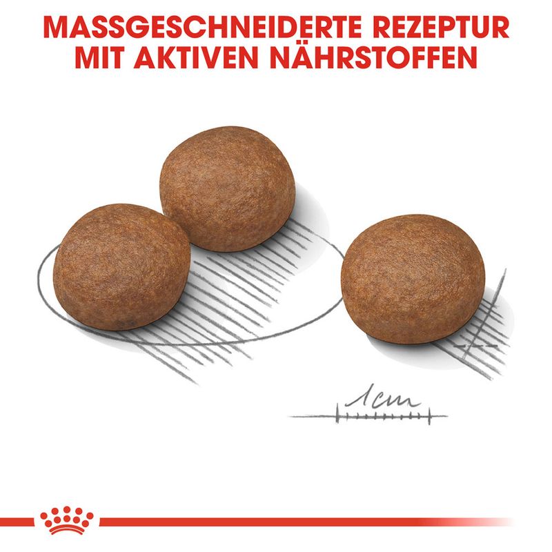 zooplus Royal Canin Medium Digestive Care kaufen Online Outlet