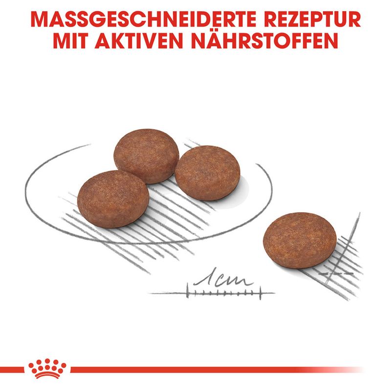 zooplus Royal Canin Mini Digestive Care kaufen Zeitlich begrenztes Angebot