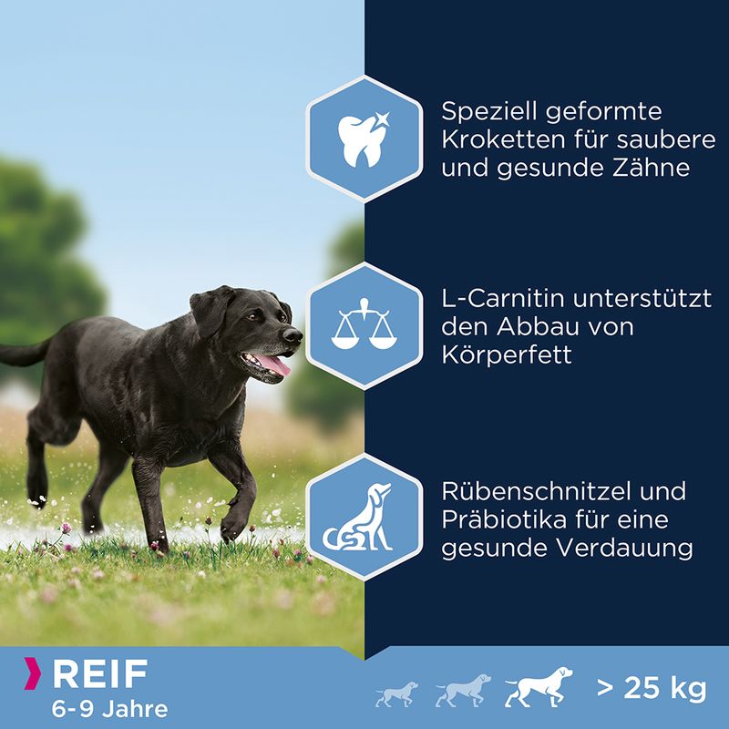 zooplus Eukanuba Thriving Mature Large Breed Huhn kaufen Blitzangebot