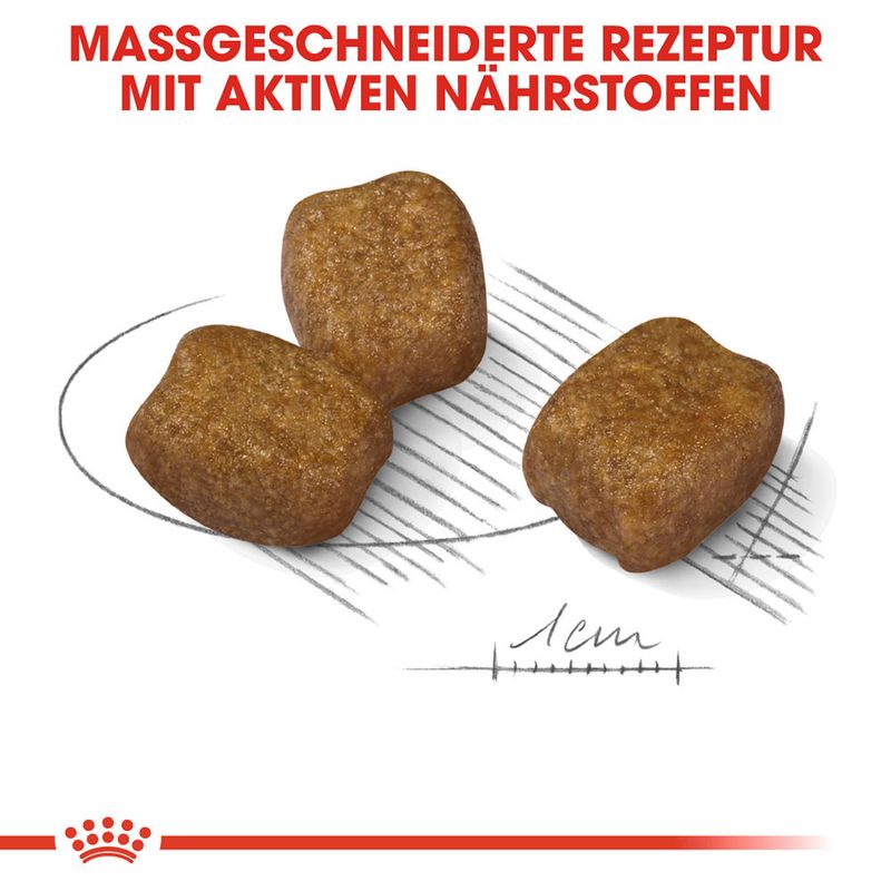 zooplus Royal Canin Mini Dental Care kaufen Bestseller