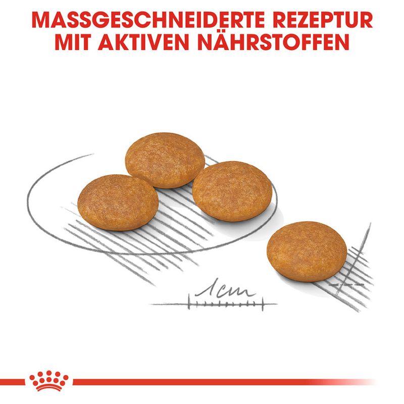 zooplus Royal Canin Mini Dermacomfort kaufen Räumungsverkauf