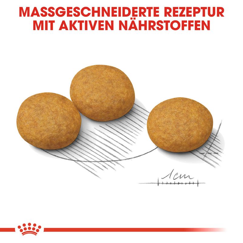 zooplus Royal Canin Medium Dermacomfort kaufen VIP-Rabatte