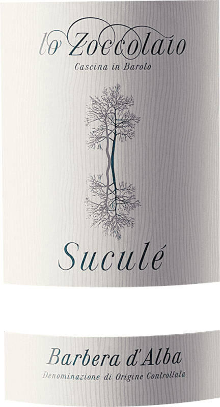 vinello Suculé Barbera d'Alba DOC - Lo Zoccolaio Bis zu 60% Rabatt